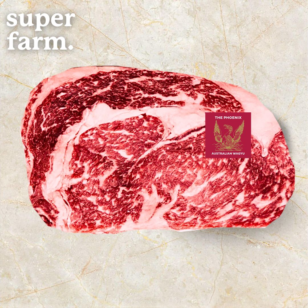 Australian Phoenix M9+ Ribeye
