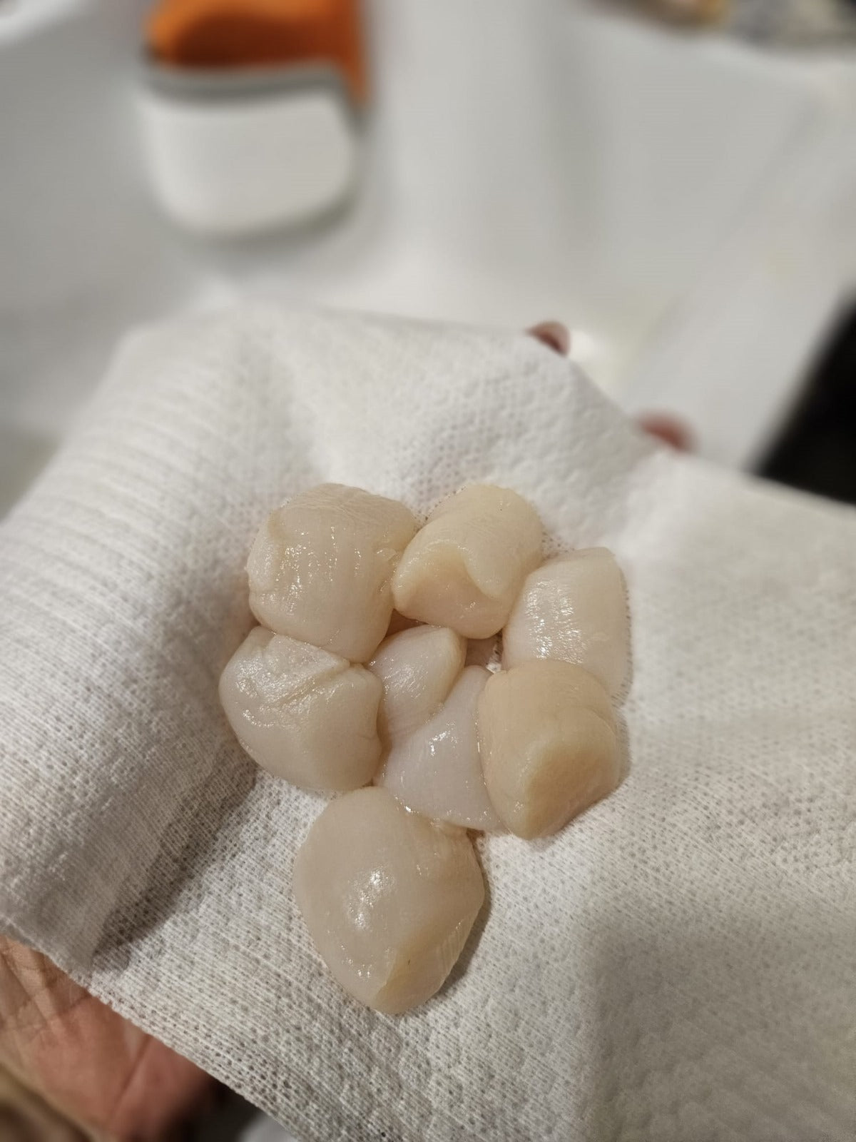 Captain's Call North Atlantic Sea Scallops Size 40/60