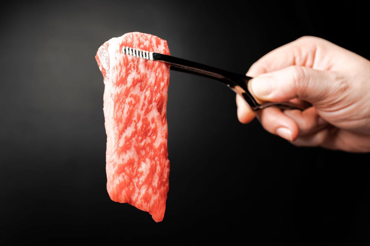 Korean Hanwoo Tri Tip 1++ ($62/100g)