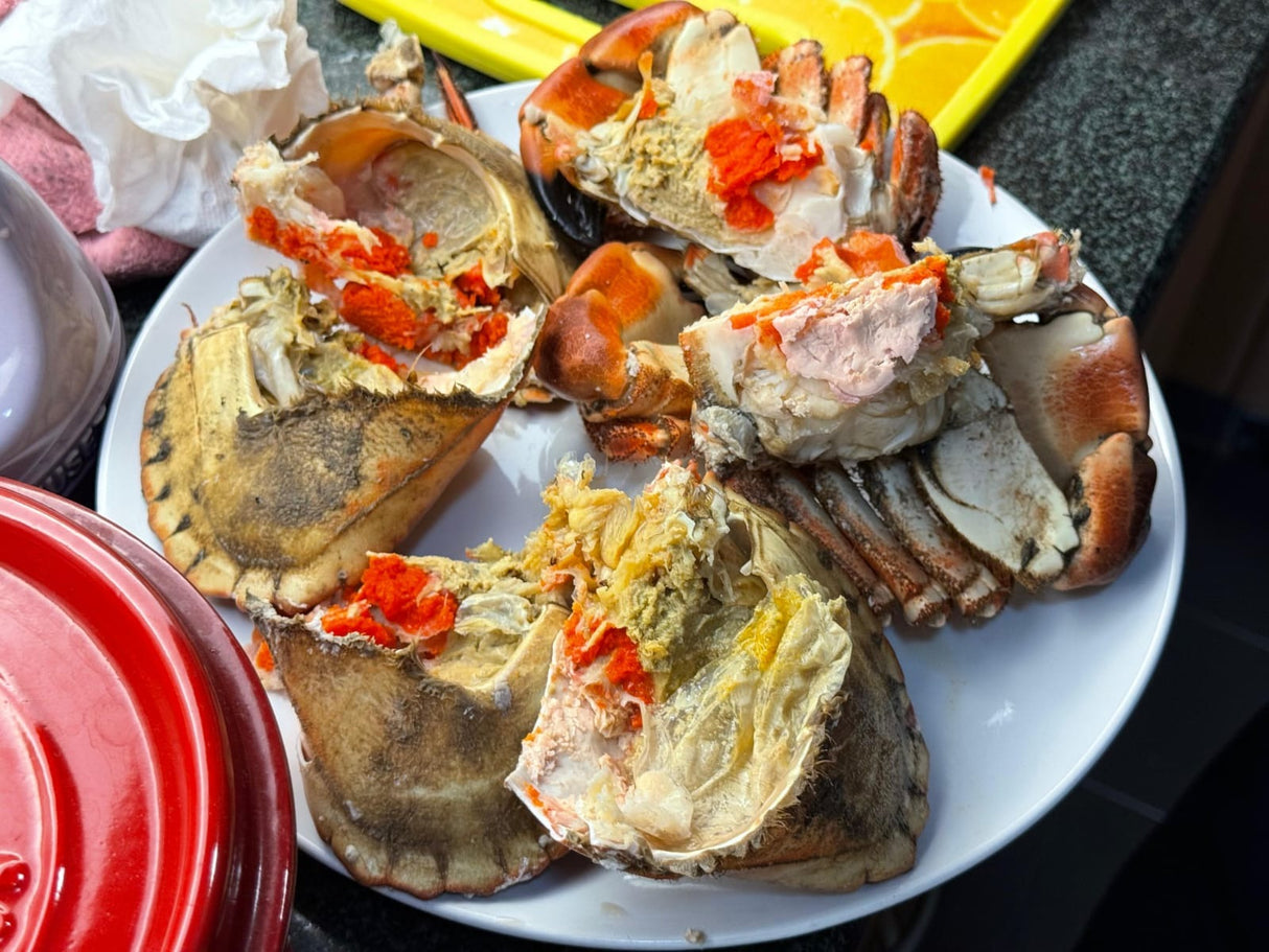 Norway Brown Crab 400-600/pc