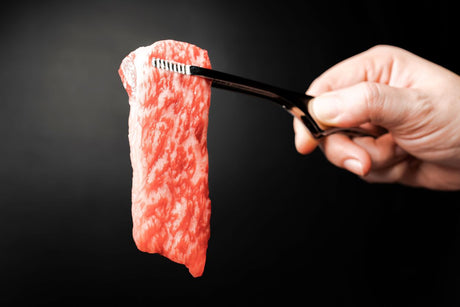 韓牛三尖肉 1++ ($62/100克)